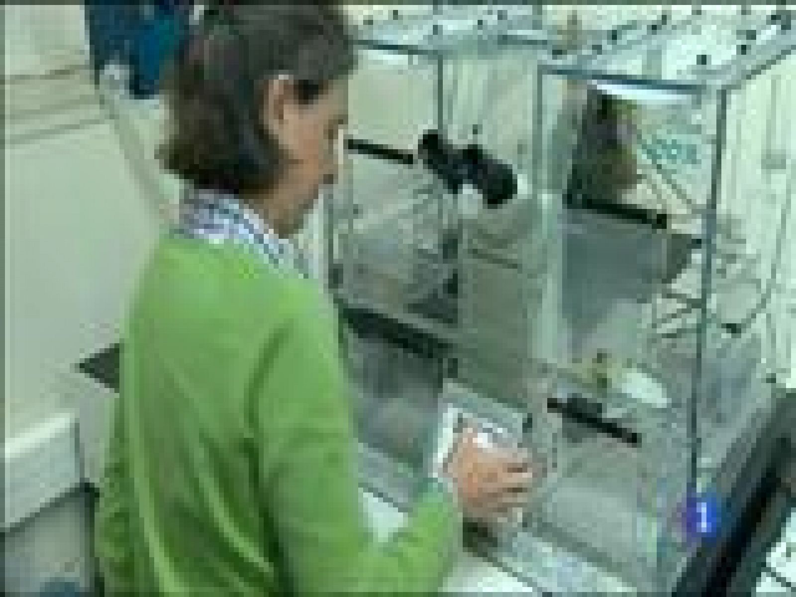 Panorama Regional - 14/10/15 | Ver