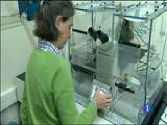 Panorama Regional - Panorama Regional - 14/10/15