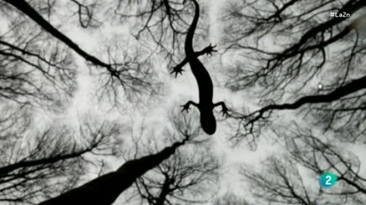 La 2 Noticias - Las mejores fotos de Naturaleza del año