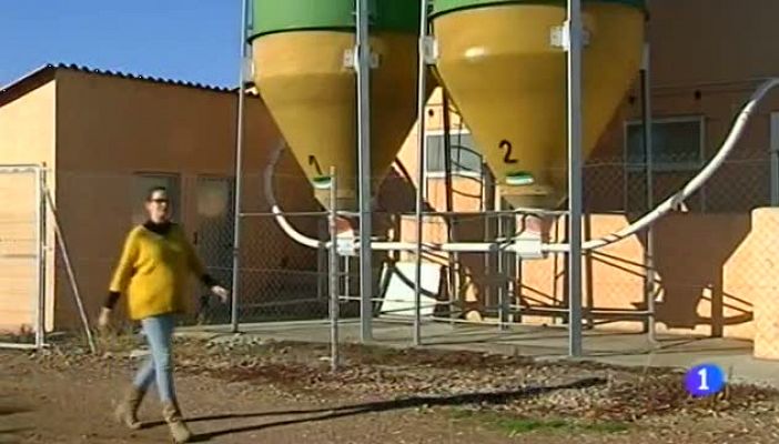 Noticias Aragón - Noticias Aragón-15/10/15