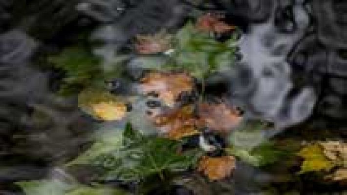 Informativo de Madrid - El Tiempo en la Comunidad de Madrid - 16/10/15