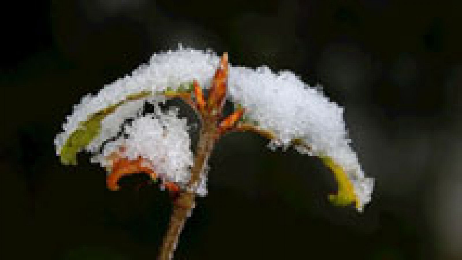 El tiempo: Viento y chubascos fuertes en Extremadura y oeste de Andalucía | RTVE Play