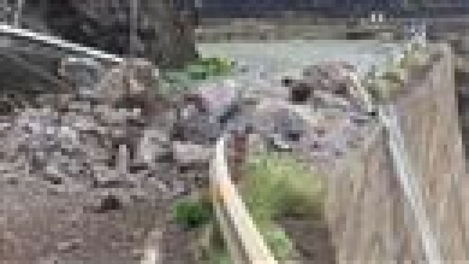 Telecanarias - 16/10/2015 | Ver