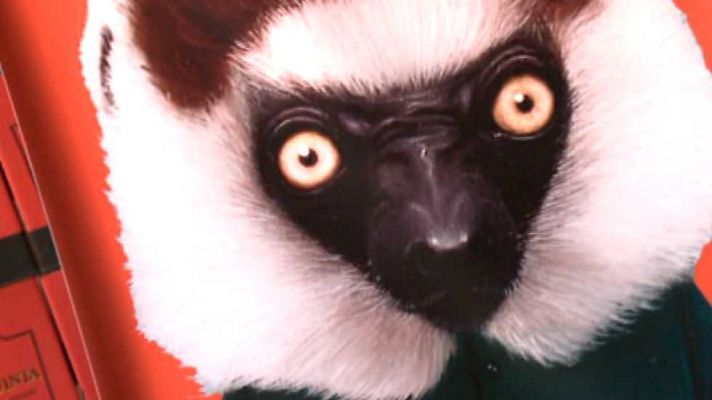 Zoom Music - Zoom Music - 16/10/15