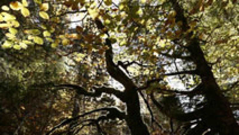 Viento y chubascos fuertes en Extremadura y Andalucía