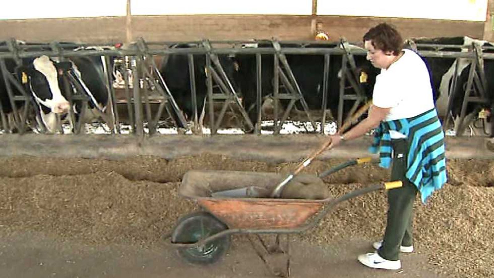 Agrosfera - 17/10/15 - ver ahora