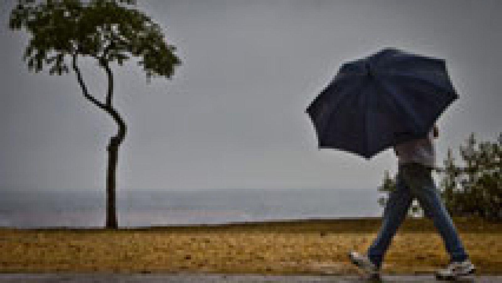 Telediario 1: Las fuertes lluvias mantienen en alerta amarilla a Málaga, Cádiz, Huelva y Sevilla | RTVE Play