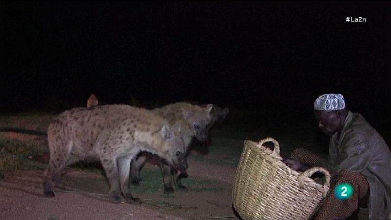 La 2 Noticias - El encantador de hienas