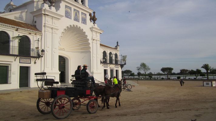 80 cm - Edu Soto en el parque Nacional de Doñana - avance