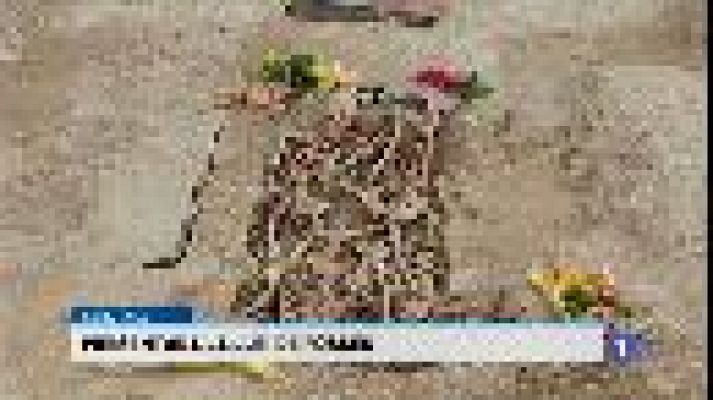 Informatiu Balear - Informatiu Balear 2 - 21/10/15