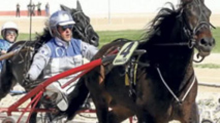 Telediario 1 - Por primera vez en España ingresa en prisión un condenado por maltrato animal