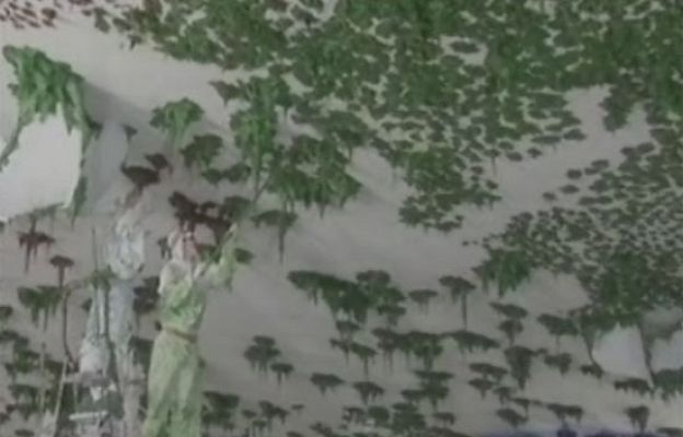  - Barceló concluye su obra en Ginebra