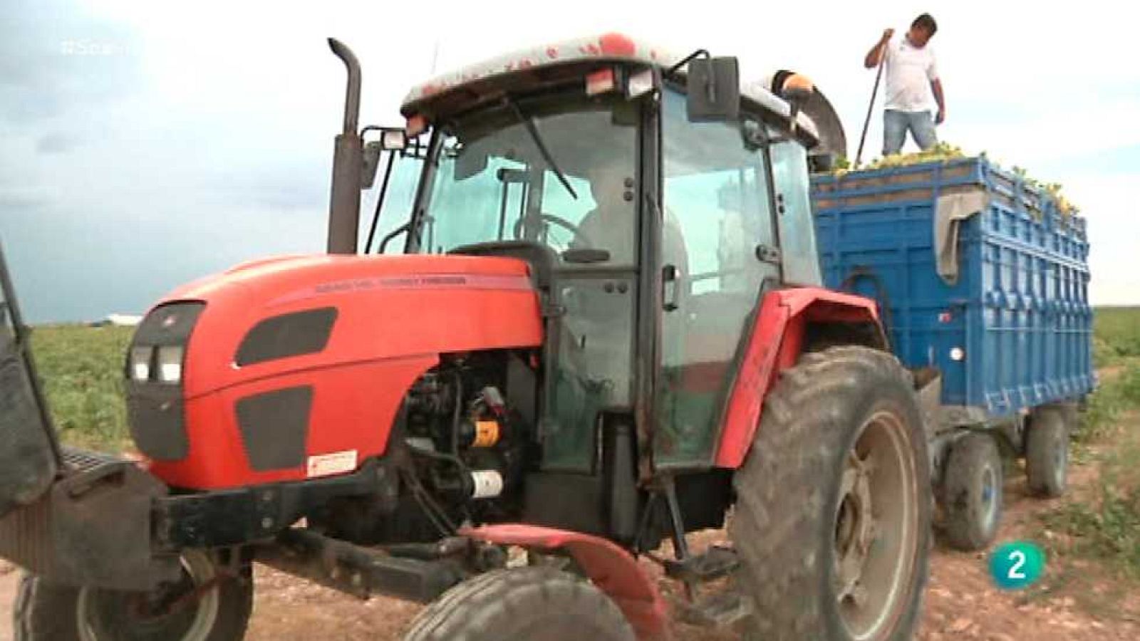 Agrosfera - 24/10/15 - Ver ahora