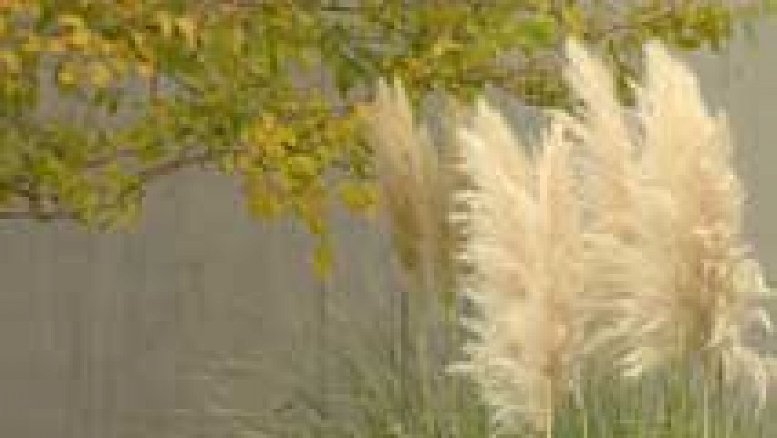 El Tiempo en la Comunidad de Madrid - 26/10/15