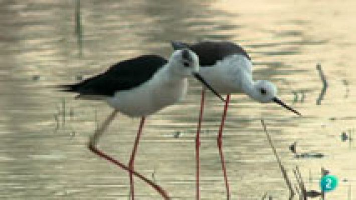 La aventura del Saber - Reserva ornitológica Finca San Miguel