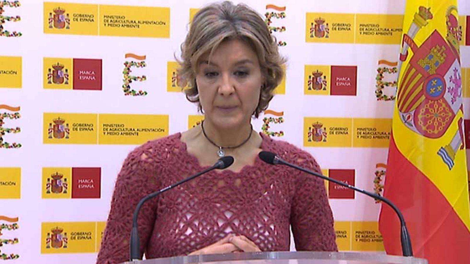 Tejerina afirma que no hay motivo para que los españoles cambien su patrón de consumo