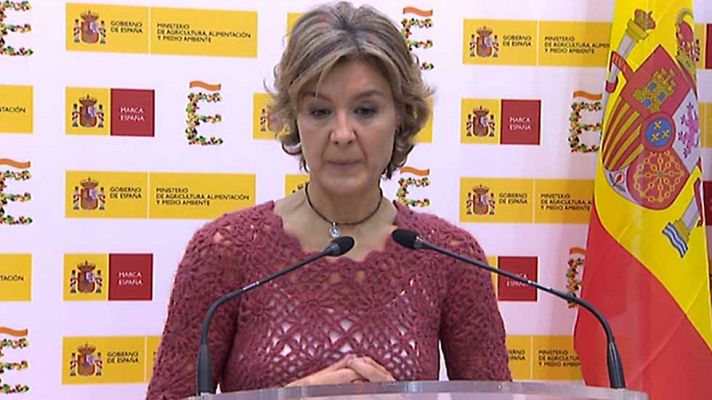 Telediario 1 - Tejerina afirma que no hay motivo para que los españoles cambien su patrón de consumo