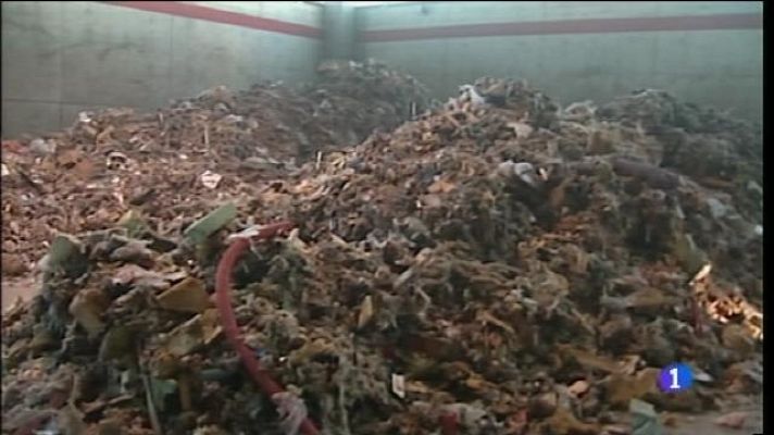 Informatiu Balear - No importaran més fems d'Europa