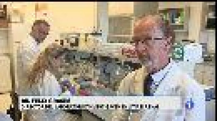 Informatiu Balear - Investigadors de la UIB desenvolupen una patent per prevenir la calcificació vascular