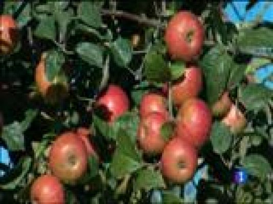 Panorama Regional - Panorama Regional 2 - 28/10/15