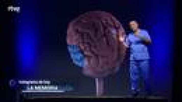  - El cerebro almacena más información que 156.000 móviles