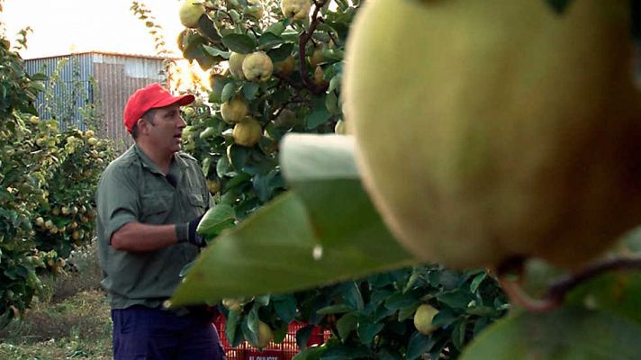 El otoño es un filón