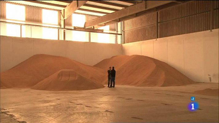 El otoño es un filón - Arroz