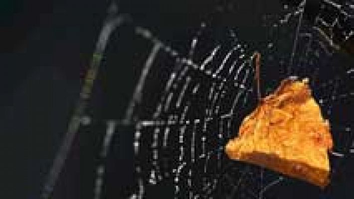 Informativo de Madrid - El Tiempo en la Comunidad de Madrid - 30/10/15