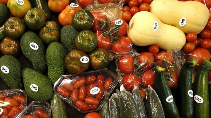 Agrosfera - Agrosfera - 31/10/15