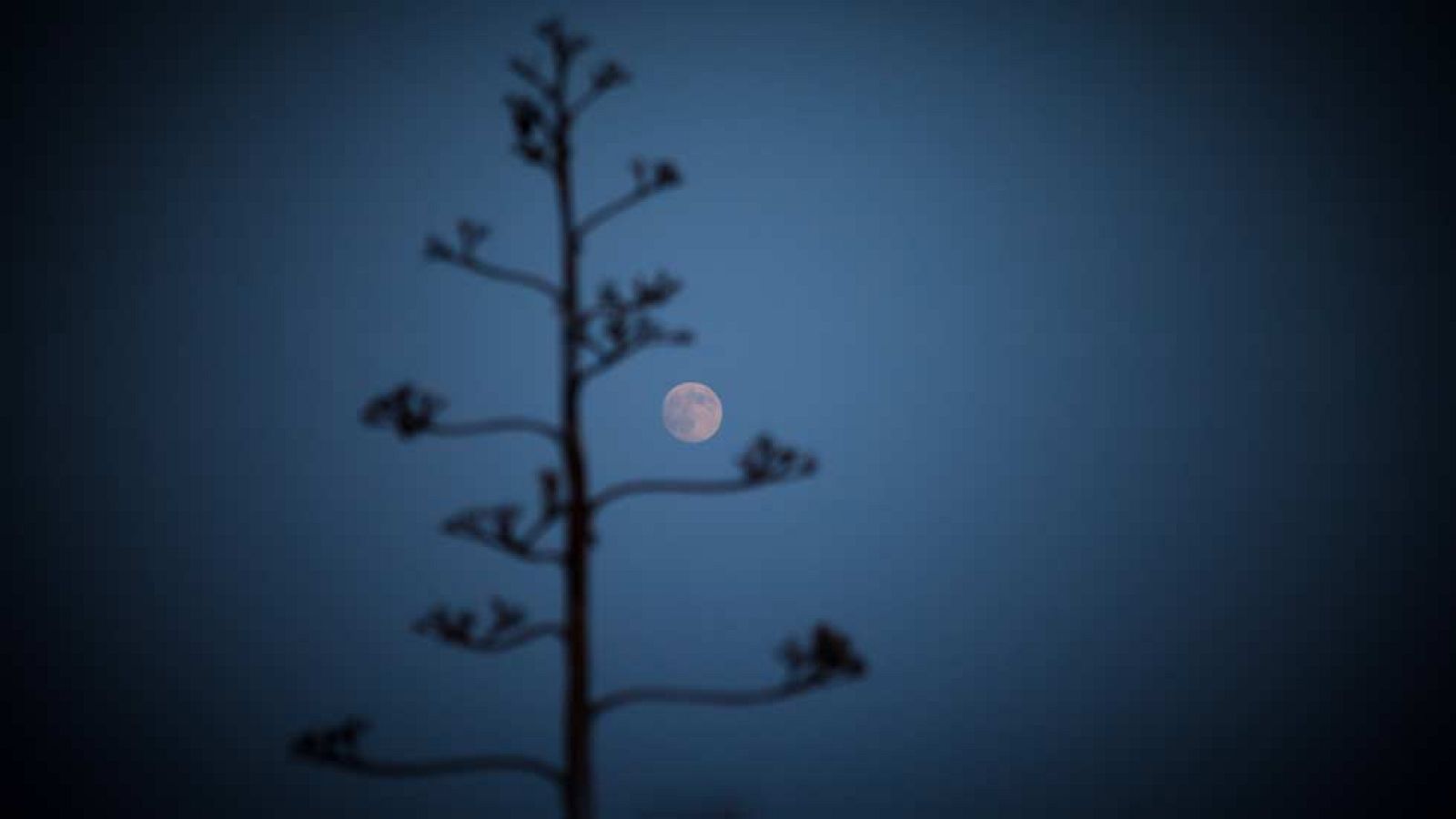 Lluvia fuerte en Andalucía y Levante, y viento en el sureste