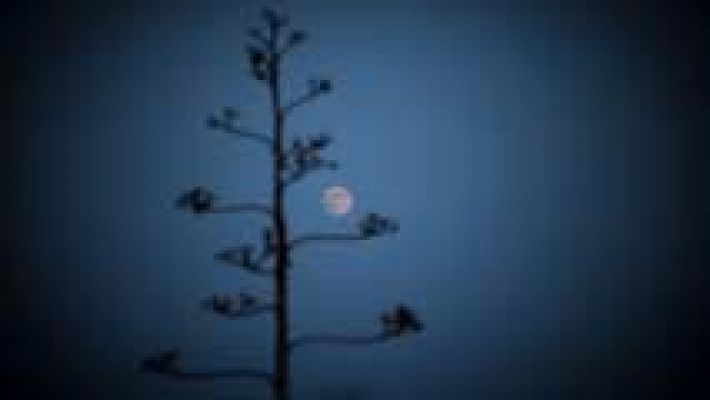 El tiempo - Lluvia fuerte en Andalucía y Levante, y viento en el sureste