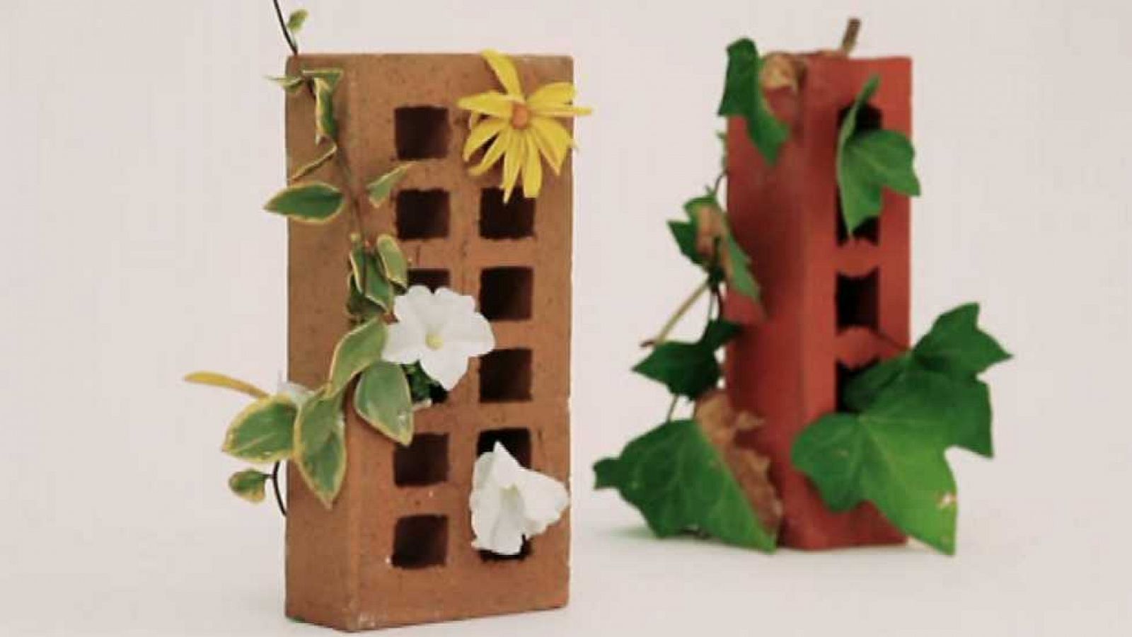 La casa encendida - 31/10/15 - ver ahora