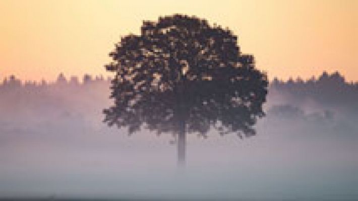 Telediario 1 - Dónde esparcir las cenizas de un ser querido