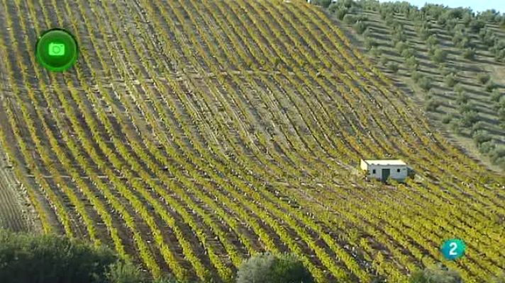 Agrosfera - TR Montilla