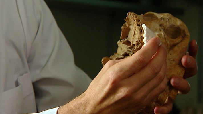 Telediario 1 - El laboratorio de Morfología Virtual del CSIC investiga la fisiología del Homo Naledi
