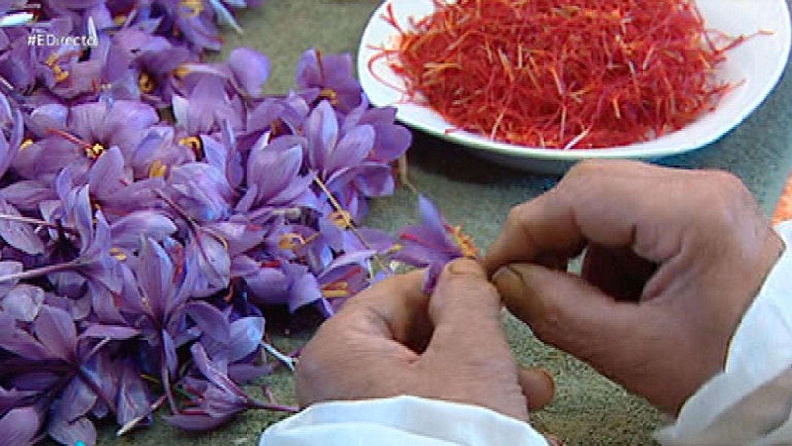 El azafrán, el oro rojo de La Mancha