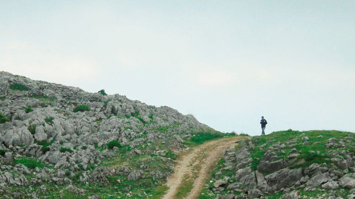 80 cm - La campas de Urbia -  Avance