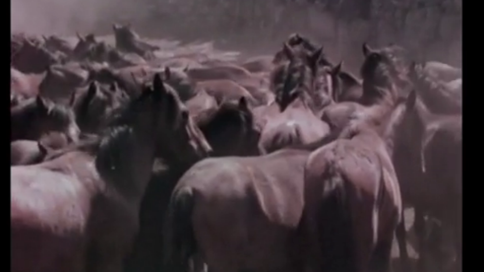 Raíces - O Curro de Mougás