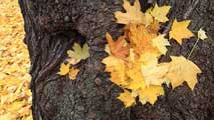 Informativo de Madrid - El Tiempo en la Comunidad de Madrid - 04/11/15