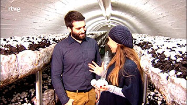  - El champiñón ayuda a frenar la caída del pelo