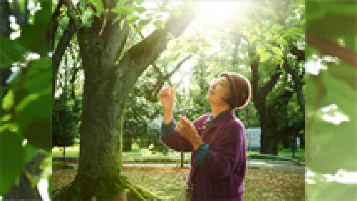 Cultura en Rtve.es - Tráiler de 'Una pastelería en Tokio'