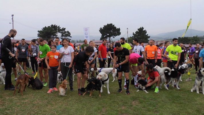 Aquí la Tierra - Canicross, por una buena causa