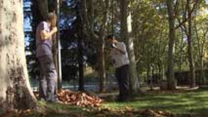 Telediario 1 - Se calcula que unas 450.000 personas en España tienen autismo