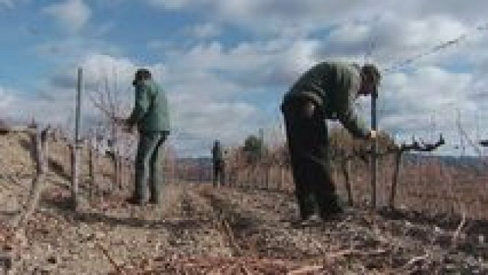 Fábrica de ideas - Fábrica de ideas - 07/11/15