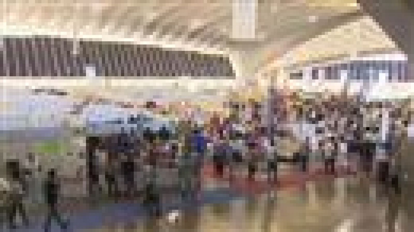 Telecanarias - 08/11/2015 | Ver