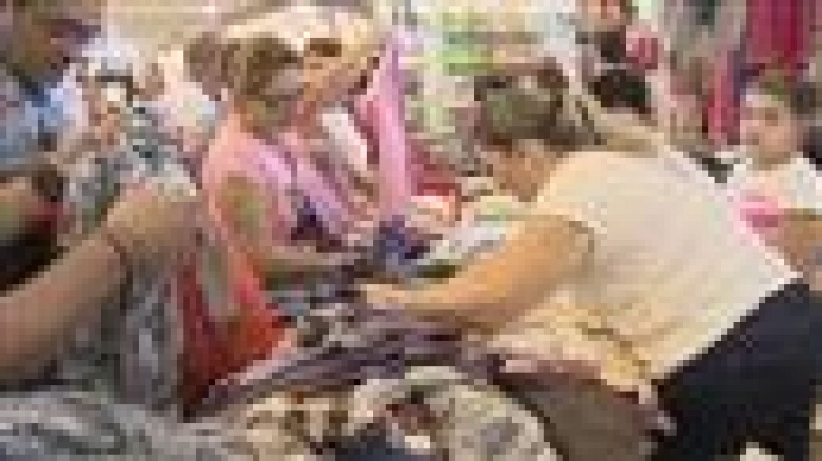 Canarias en 2' - 08/11/2015 | Ver