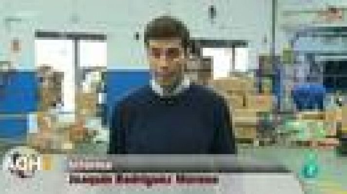 Aquí hay trabajo - 1.500 empleos en SEUR para la campaña de Navidad y rebajas