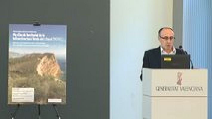 L'informatiu - Comunitat Valenciana - L'Informatiu - Comunitat Valenciana 2 - 11/11/15