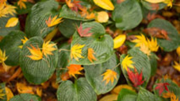 El tiempo - Baja la temperatura en el noroeste peninsular, Baleares y Canarias