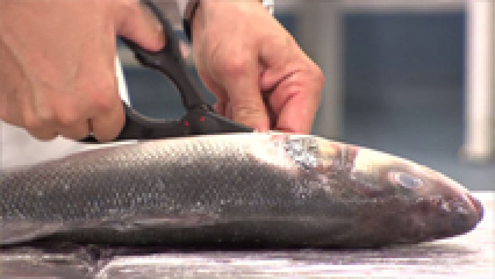 MasterChef Junior 3 - Clase de Pescado